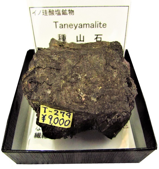 T-279 種山石(Taneyamalite) | 珪酸塩鉱物,西日本,九州地方 | Mineral