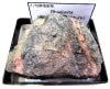 R-152 �Ф鵱��(Rhodonite)