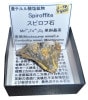 S-581 ԥ(Spiroffite)
