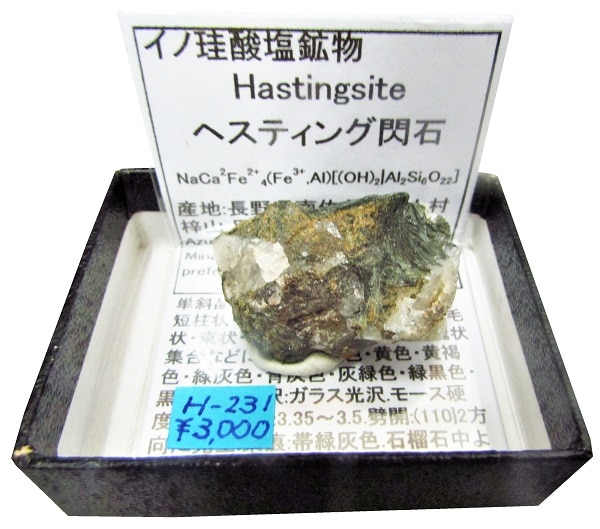 H231 ヘスティング閃石(Hastingsite) 珪酸塩鉱物,東日本 Mineral Shop たんくら