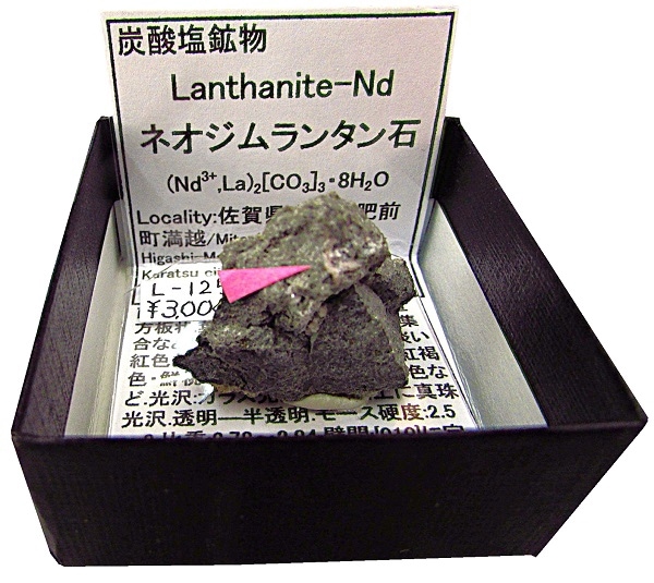 L-125 �ͥ������󥿥���(Lanthanite-Nd)