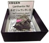 L-125 ͥ󥿥(Lanthanite-Nd)