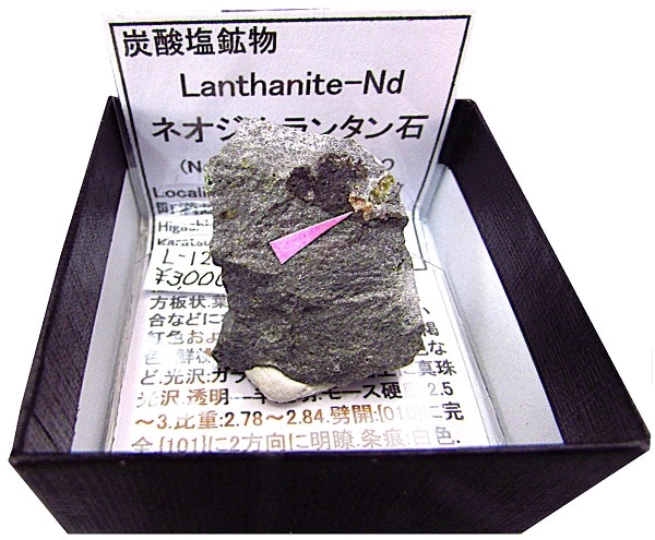 L-126 �ͥ������󥿥���(Lanthanite-Nd)