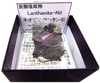 L-126 ͥ󥿥(Lanthanite-Nd)