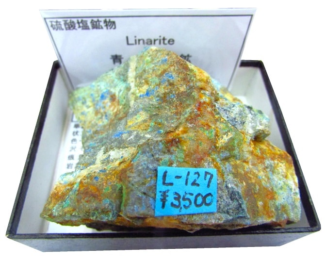 L-127 青鉛鉱(Linarite) | 硫酸塩鉱物 | Mineral Shop たんくら