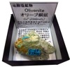 O-69 ꡼Ƽ(Olivenite)