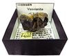 V-113 �٥�����(Vesuvianite)