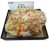 R-162 ܴ(Realgar)