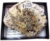 R-164 ɩ�ޥ󥬥��(Rhodochrosite)