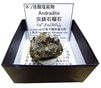 A-610 Ŵ(Andradite)