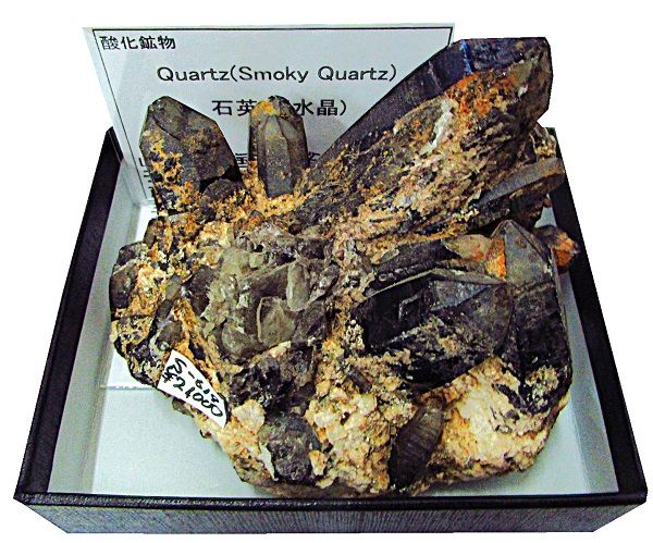 S-619 徽(Smoky Quartz)