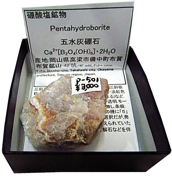 P-501 五水灰硼石(Pentahydroborite) | 硼酸塩鉱物 | Mineral Shop