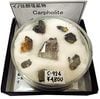 C-924 �����ե�����(Carpholite)