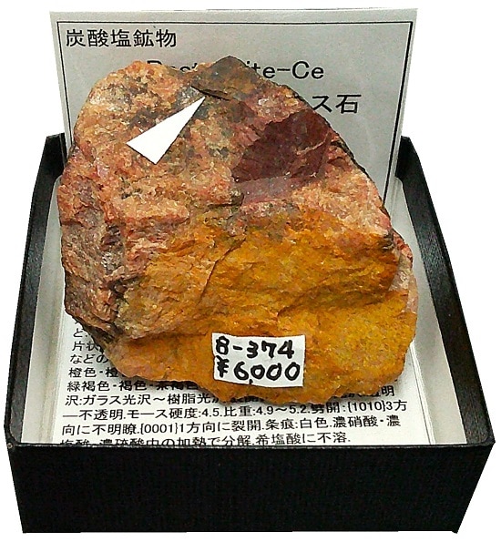 B-374���ꥦ��Х��ȥͥ���(�����в���)