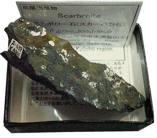 S-638 �����ܥ�����(Scarbroite)