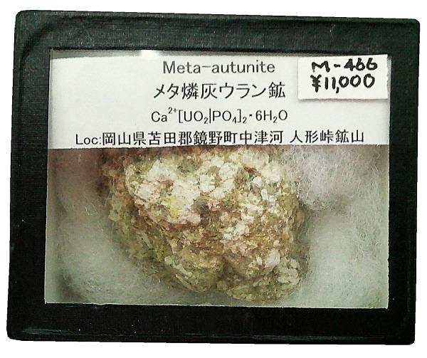 M-466 �᥿�ճ�������(Meta-autunite)