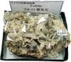 F-215 �ե������ŵ���(Foitite)