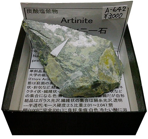 A-642 ����ƥ��ˡ���(Artinite)