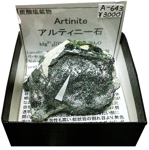 A-643 ����ƥ��ˡ���(Artinite)