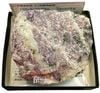 H-258 �ҥ�֥�����(Hillebrandite)�ȥ��ѡ���(Spurrite)
