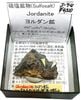 J-74 �������(Jordanite)