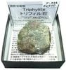 T-324 �ȥ�ե�����(Triphylite)