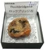 R-175 ���å��֥�å���(Rockbridgeite)