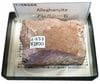 A-653 ���쥬�ˡ���(Alleghanyite)