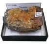 F-217 �ۥ�����(Fluorite)