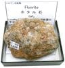 F-218 �ۥ�����(Fluorite)