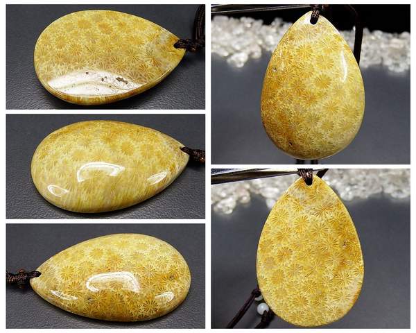 逸品希少天然石菊花石化石ペンダントトップネックレス石街281 | 石種別