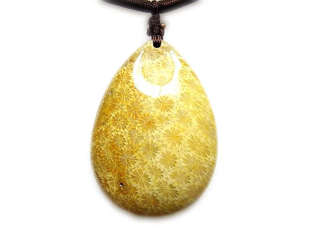 金色天然石　菊花石 逸品希少天然石菊花石化石ペンダントトップネックレス石街281 | 石種別