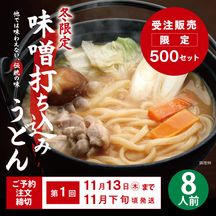 【第1回受注・予約】DMF-1 半生味噌打ち込みうどん 8人前セット【送料込※】