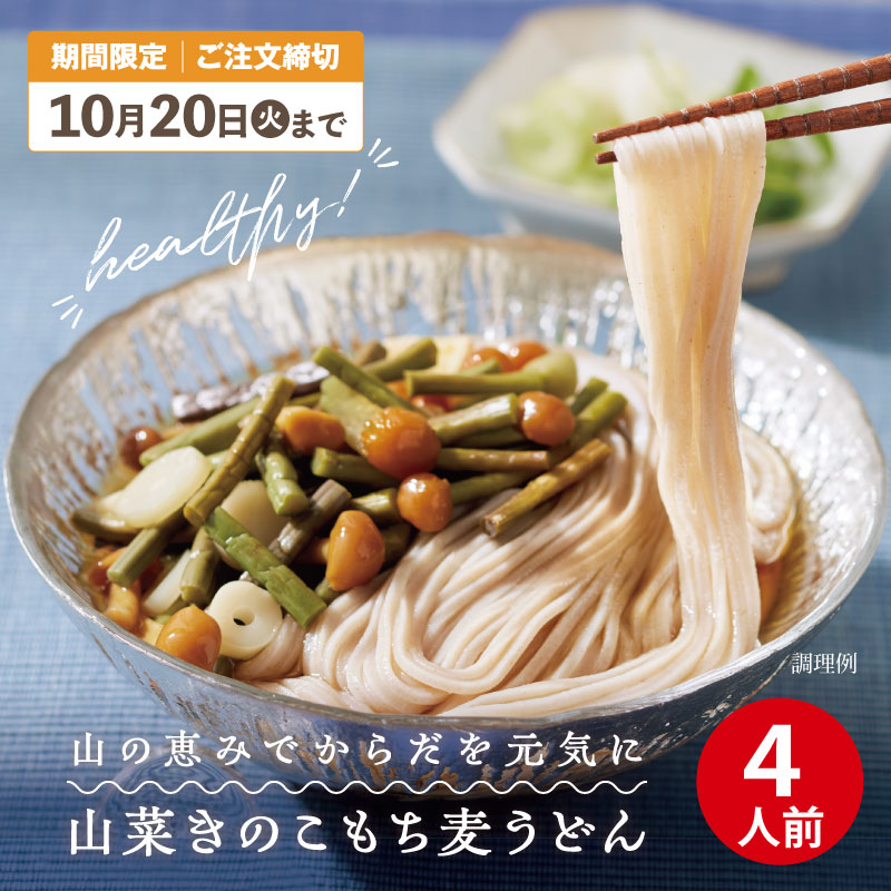 【キャンペーン限定】DMS-4 山菜きのこもち麦うどんセット【送料込※】