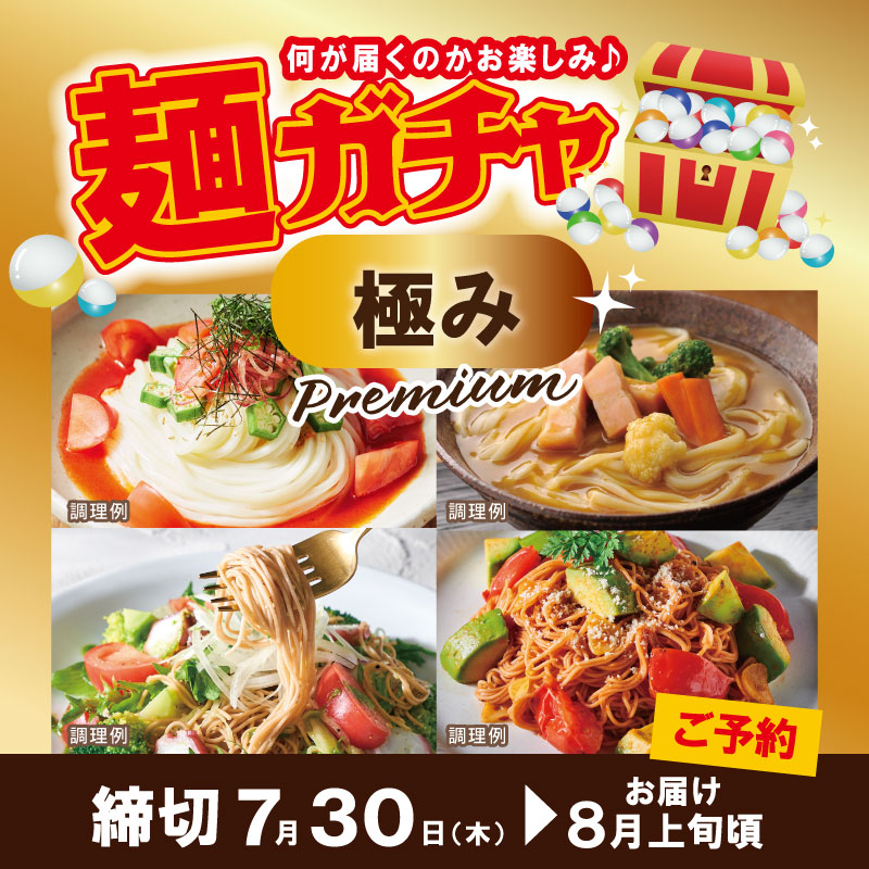 【予約】DMS-15　麺ガチャ極みプレミアム【送料込※】