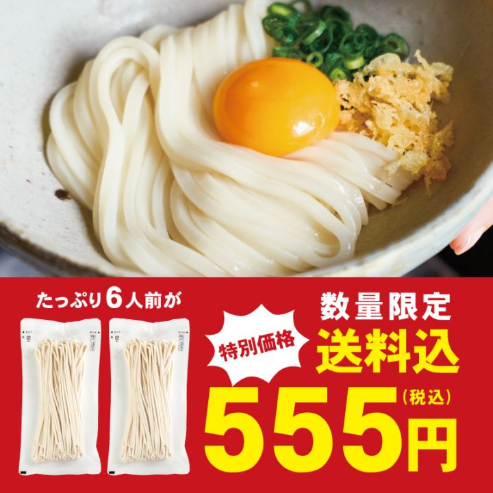 DMT-6 国産小麦半生うどん6人前【送料無料】【WEB限定商品】