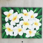 �Хꥢ���ȡ�����M107���ץ��ꥢ[70��90cm]