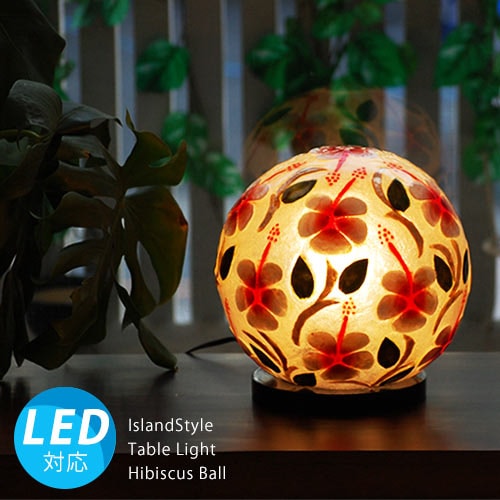 ����������������ܾ�����������ǥ����ס��ϥ��ӥ������ܡ���/22cm