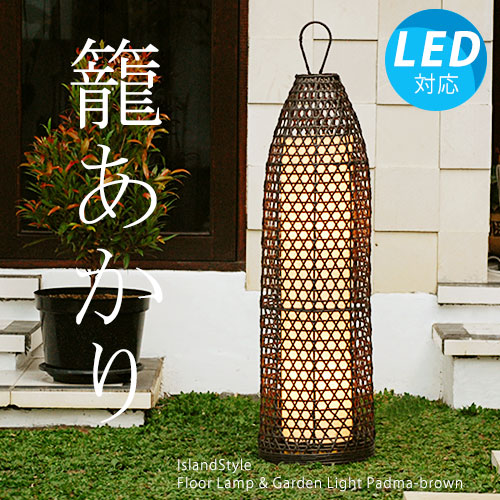 ��LED�ŵ��աۡ��������������� �����䥢������ƥ����Ȥʶ��֤˥ԥå��ꡪ���ѥɥ�(�֥饦��)/H115cm