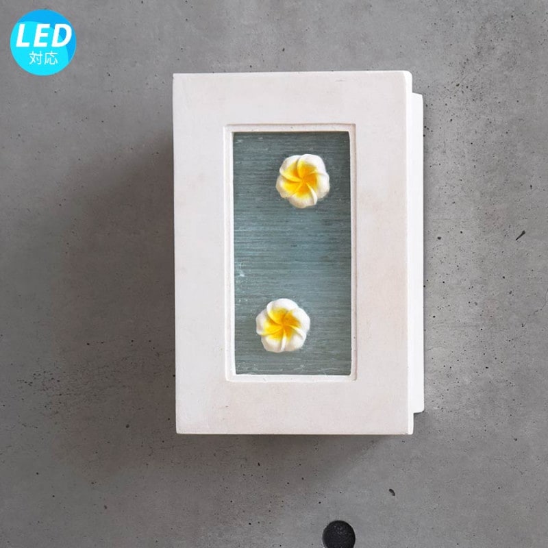 ����������������ܾ������֥饱�åȡ������� �������������ǥ󥦥�����饤��LDP-10