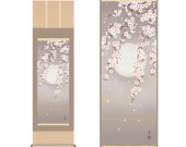 �ݼ���������ס������տ塡ɮ��