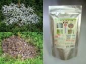 ʴ������ޡ��������ɥ֥饤�ȡ����������