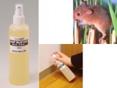 �ͤ��ߴ���ޡ����åȥХ������䡡����