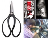 ���결�κ�ä���Ĺ�������������