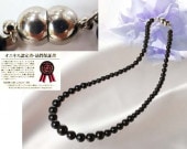 �ϥ����졼�ɥ��˥���������ǡ������ͥå��쥹