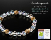 �������饯�����Ĺ����֥쥹