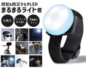 ȡɺҥޥݷLED֤ޤޤ饤ȷ