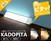 �ѤˤϤޤ롪���ʹ����󥵡��饤�ȡ����ɥԥ�