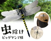 ��褱���ȥ�åס��ӥå�������