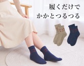 �����ȥĥ�ĥ륽�å����ʥ��󥯥�ե���